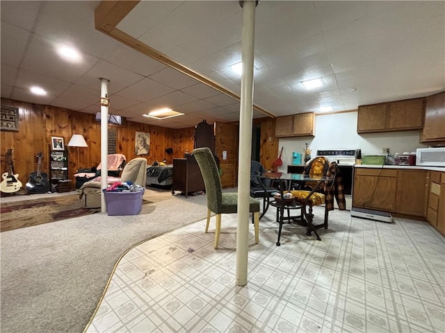 111 Arlington Ave Unit 1-12, Cameron, WI 54822 - finished below grade area with wooden walls, a drop ceiling, and light colored carpet