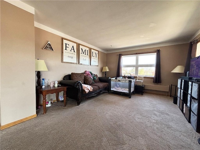 111 Arlington Ave Unit 1-12, Cameron, WI 54822 - living area featuring carpet, baseboards, and ornamental molding