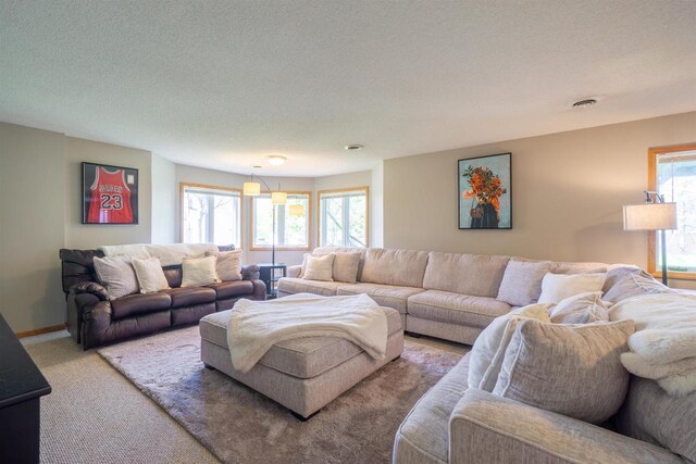 1502 Marquardt Rd, Wausau, WI 54403 - living room with carpet and a textured ceiling