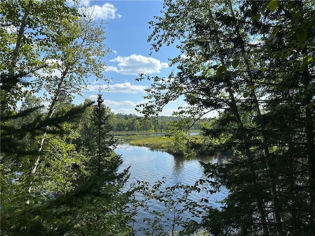6647W Golf Course Rd, Winter, WI 54896