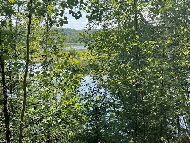 6647W Golf Course Rd, Winter, WI 54896