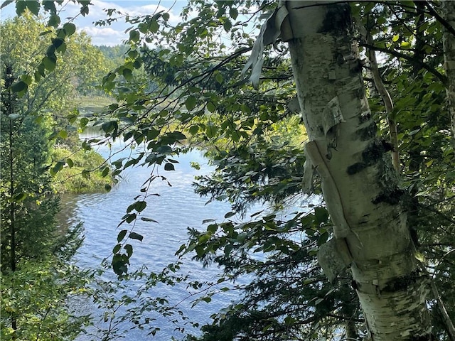 6647W Golf Course Rd, Winter, WI 54896