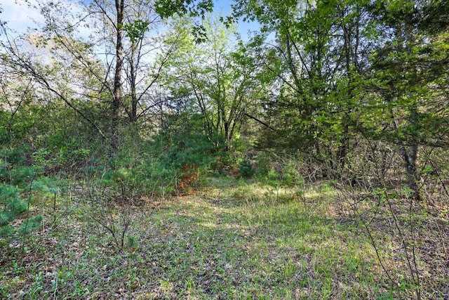290021663 3rd St, Armenia, WI 54646