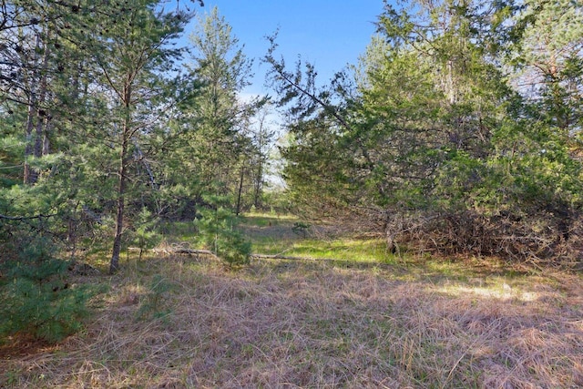 290021663 3rd St, Armenia, WI 54646