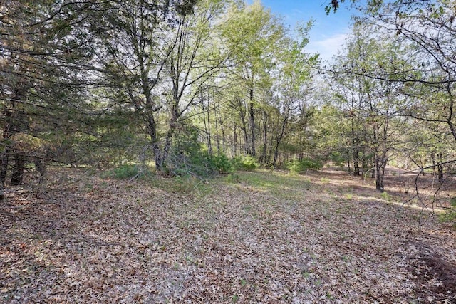 290021663 3rd St, Armenia, WI 54646