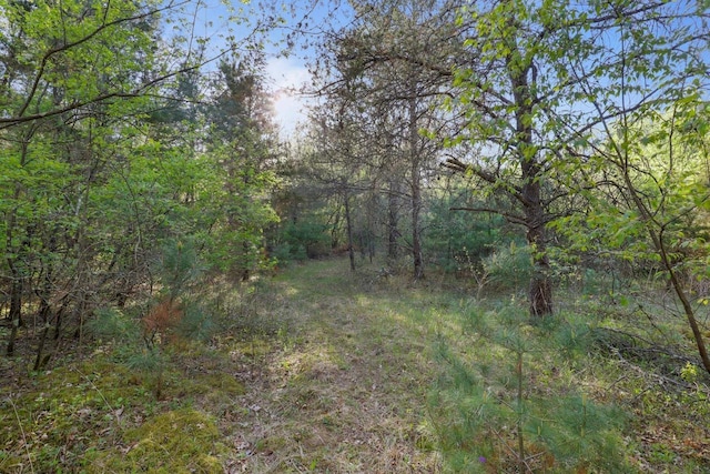290021663 3rd St, Armenia, WI 54646