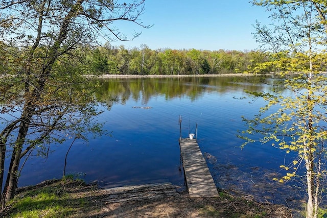 290021663 3rd St, Armenia, WI 54646
