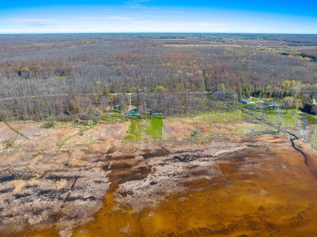 229 Bay Rd, Peshtigo, WI 54147 - aerial overview of property's location with a heavily wooded area