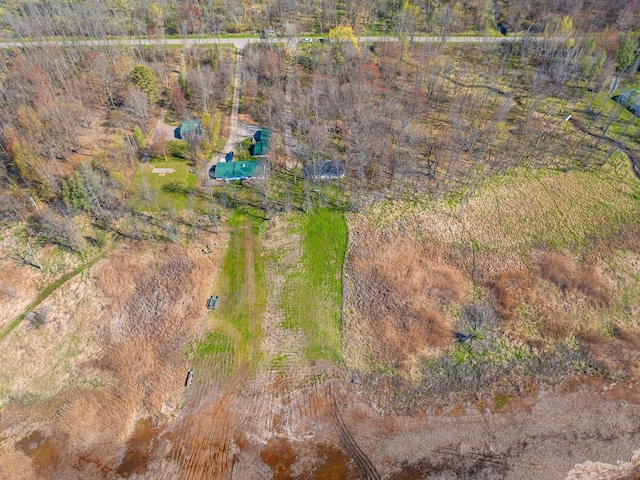 229 Bay Rd, Peshtigo, WI 54147 - bird's eye view