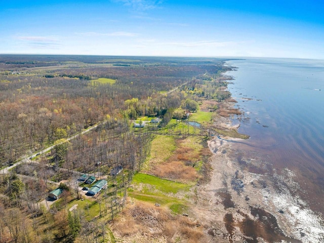229 Bay Rd, Peshtigo, WI 54147 - view of property location featuring a nearby body of water and a forest