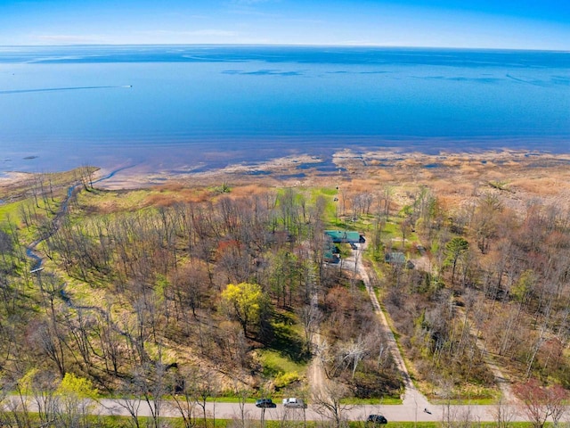 229 Bay Rd, Peshtigo, WI 54147 - aerial view of a nearby body of water
