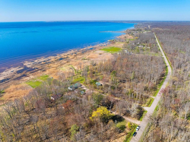 229 Bay Rd, Peshtigo, WI 54147 - bird's eye view of a nearby body of water