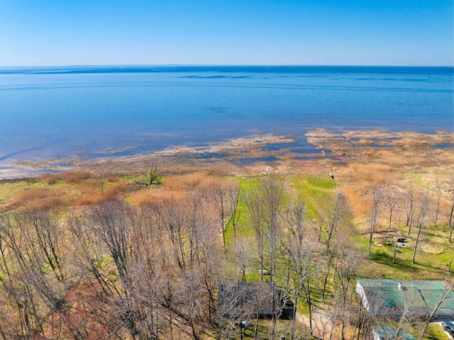 229 Bay Rd, Peshtigo, WI 54147 - aerial view of a large body of water