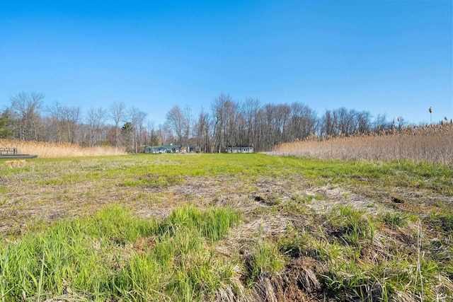 229 Bay Rd, Peshtigo, WI 54147 - view of nature with rural landscape