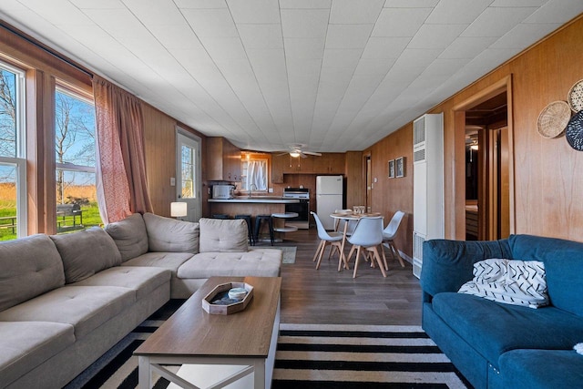 229 Bay Rd, Peshtigo, WI 54147 - living area featuring wooden walls and dark wood-style floors
