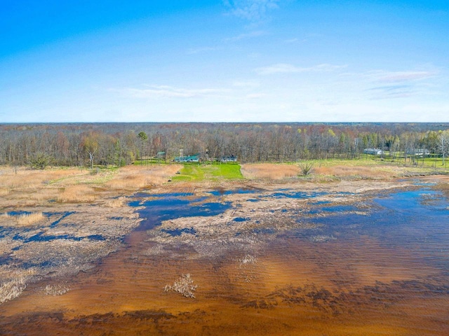 229 Bay Rd, Peshtigo, WI 54147 - aerial view of a forest