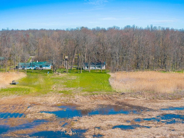 229 Bay Rd, Peshtigo, WI 54147 - view from above of property with a heavily wooded area