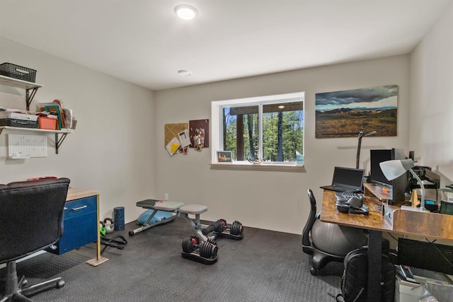 home office featuring carpet