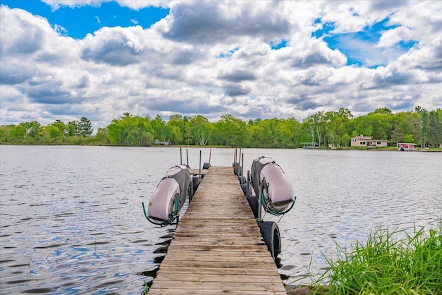 W11601 Demynck Rd, Lodi, WI 53555 - dock with a water view