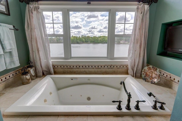 W11601 Demynck Rd, Lodi, WI 53555 - bathroom featuring a jetted tub and healthy amount of natural light