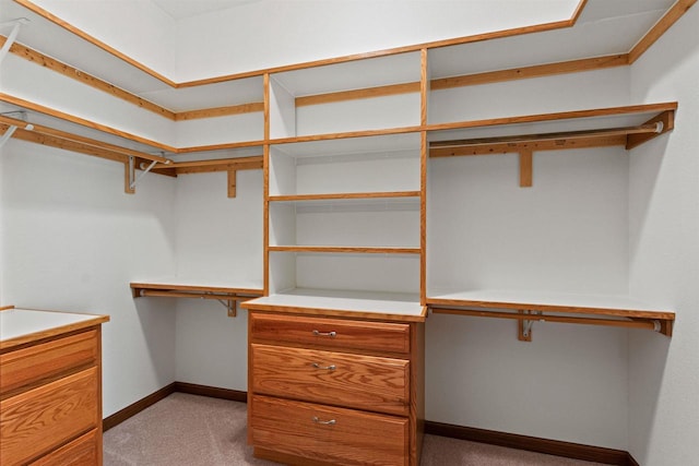 6056 Sharonwood Ln, Stevens Point, WI 54482 - walk in closet with light colored carpet