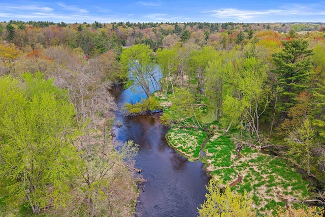 6056 Sharonwood Ln, Stevens Point, WI 54482 - bird's eye view of a heavily wooded area