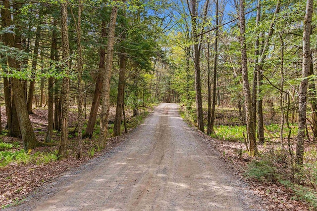6056 Sharonwood Ln, Stevens Point, WI 54482 - view of dirt / gravel road featuring a view of trees