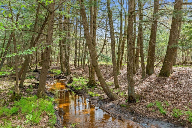 6056 Sharonwood Ln, Stevens Point, WI 54482 - view of undeveloped land