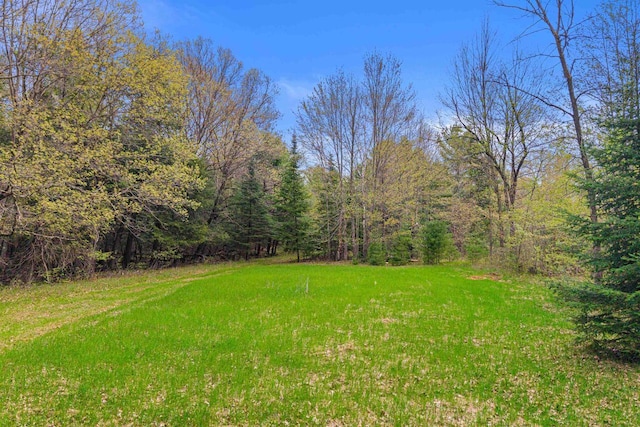 6056 Sharonwood Ln, Stevens Point, WI 54482 - view of green lawn featuring a wooded view