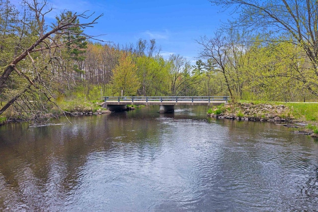 6056 Sharonwood Ln, Stevens Point, WI 54482 - water view featuring a forest