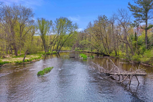 6056 Sharonwood Ln, Stevens Point, WI 54482 - water view with a heavily wooded area