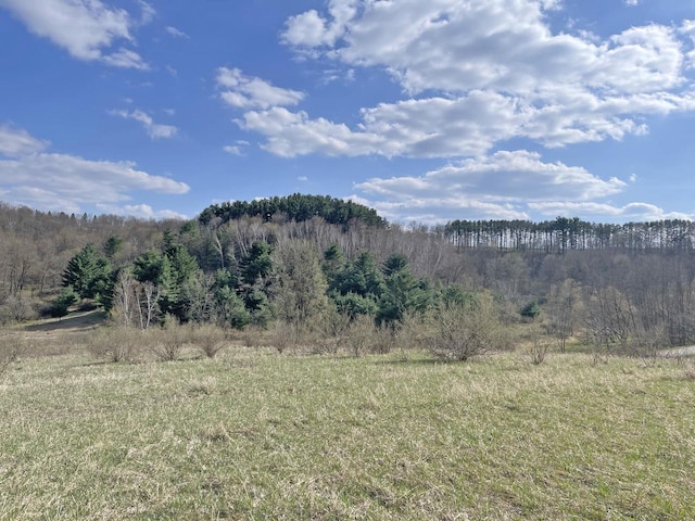 LOT1094 Equestrian Dr, La Valle, WI 53941