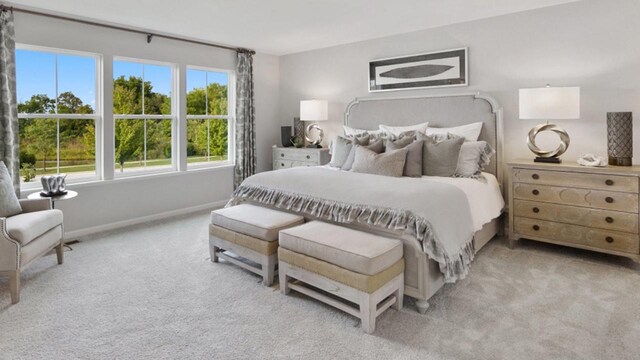 4011 Banbury St, Windsor, WI 53598 - carpeted bedroom featuring baseboards