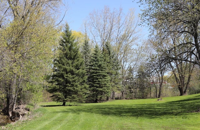 N422 Dons Dr, Appleton, WI 54915 - view of green lawn