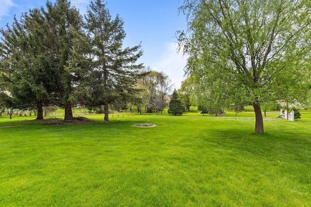 view of grassy yard