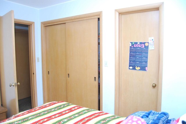 3207 County Rd W, Port Washington, WI 53074 - bedroom with a closet