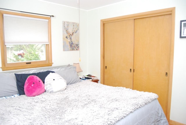 3207 County Rd W, Port Washington, WI 53074 - bedroom featuring a closet