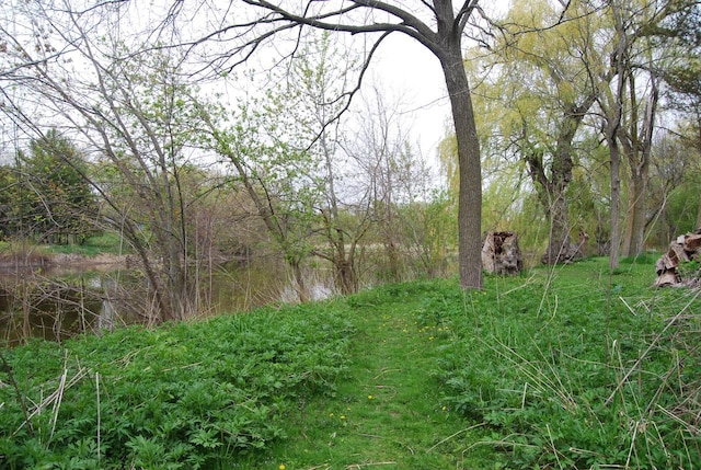 3207 County Rd W, Port Washington, WI 53074 - view of local wilderness