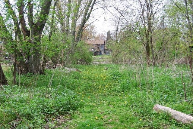 3207 County Rd W, Port Washington, WI 53074 - view of local wilderness