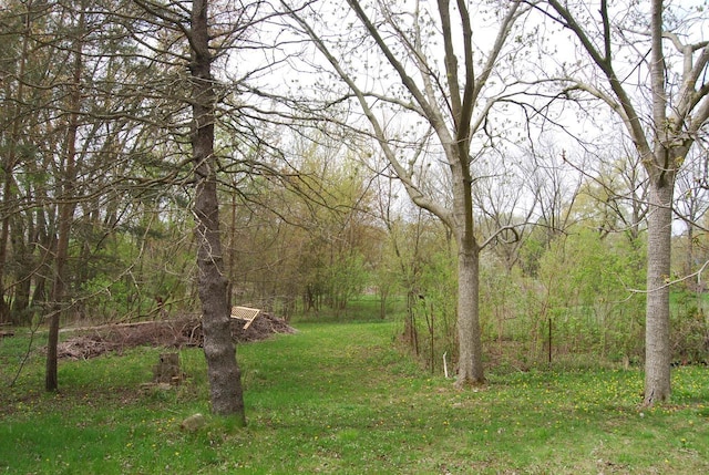 3207 County Rd W, Port Washington, WI 53074 - view of yard featuring a wooded view