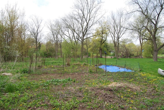 3207 County Rd W, Port Washington, WI 53074 - view of green lawn