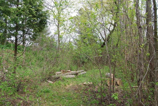 3207 County Rd W, Port Washington, WI 53074 - view of woods