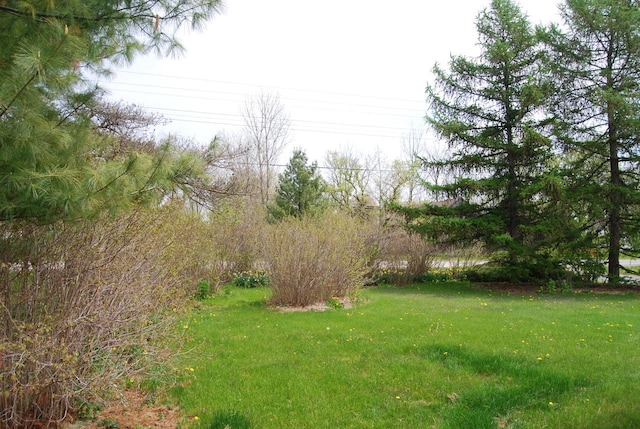 3207 County Rd W, Port Washington, WI 53074 - view of green lawn