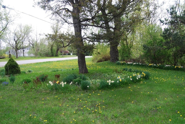 3207 County Rd W, Port Washington, WI 53074 - view of yard