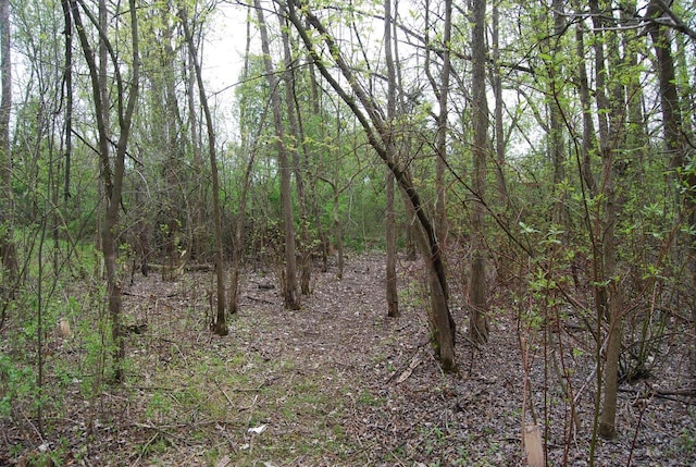 3207 County Rd W, Port Washington, WI 53074 - view of woods