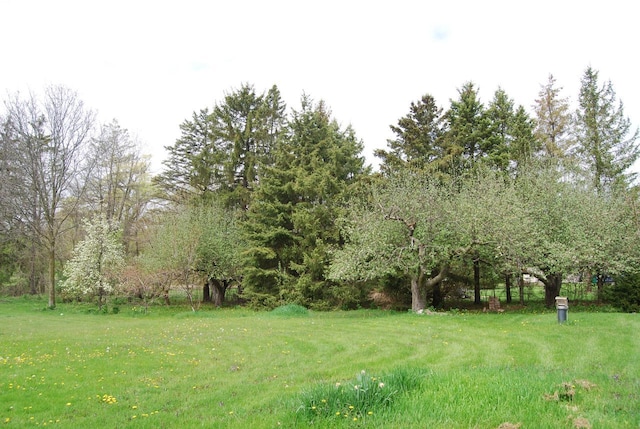 3207 County Rd W, Port Washington, WI 53074 - view of green lawn