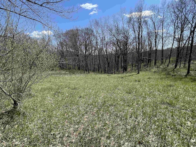 LOT362 Matterhorn Dr, La Valle, WI 53941