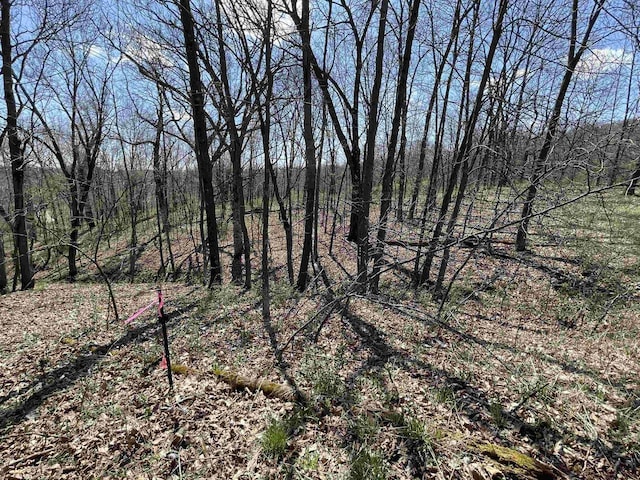 LOT362 Matterhorn Dr, La Valle, WI 53941