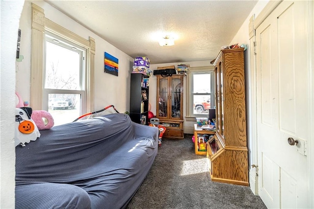N9003 County Road Vv, Mindoro, WI 54644 - bedroom featuring carpet flooring and a textured ceiling