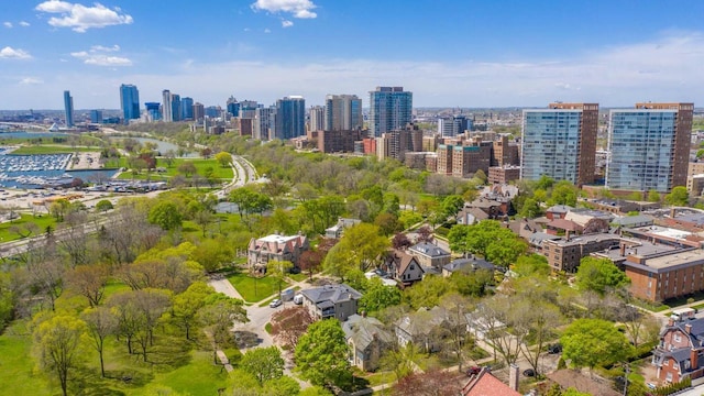 2017 N Terrace Ave, Milwaukee, WI 53202 - drone / aerial view of a view of skyline
